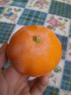 ӂ[